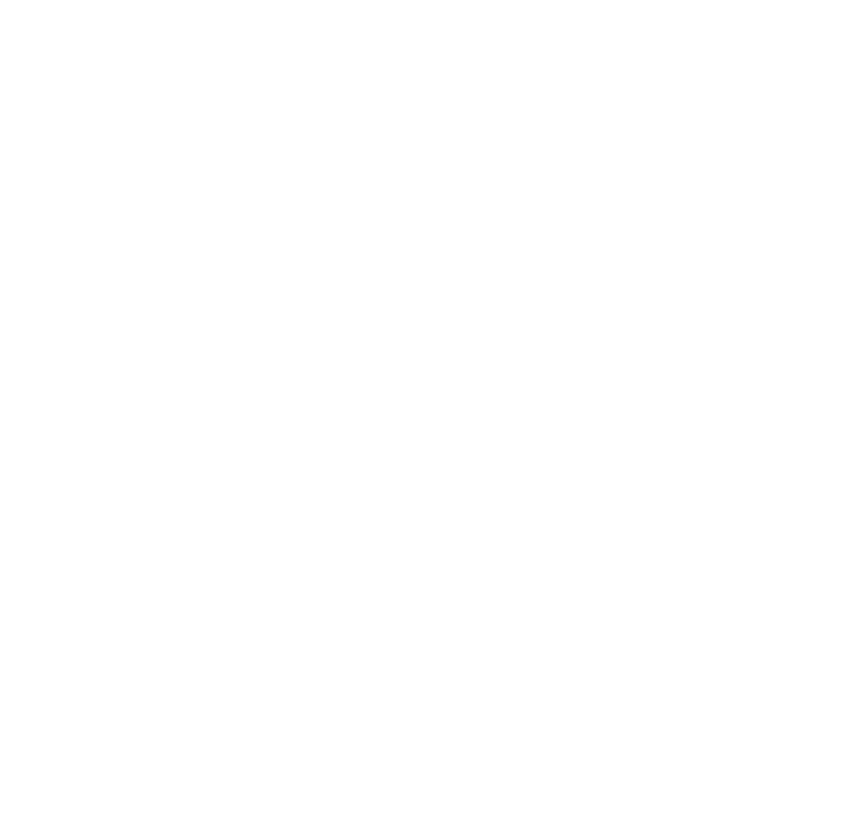 BOAZ CONSULTING